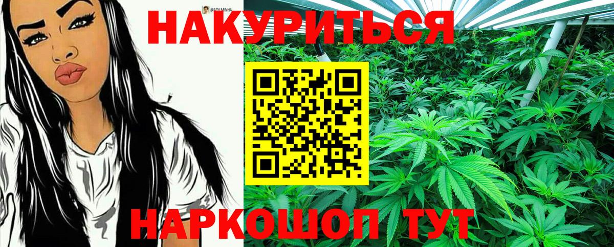 Конопля план  Бошки марихуана тримм  Шишки марихуана план  Псков  Вход с VPN  Марихуана MAZAR 